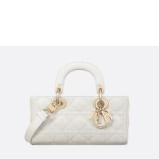 TÚI XÁCH DIOR Small Lady D-Joy Bag