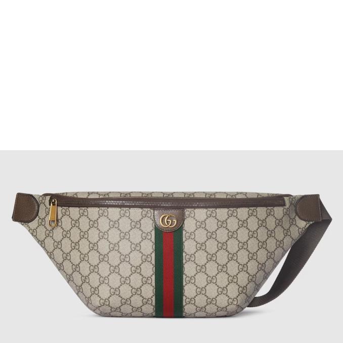 TÚI XÁCH GUCCI&nbsp;Ophidia large belt bag